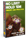 No Limit Holdem: Theory and Practice