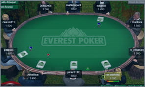 large player pool at everest poker